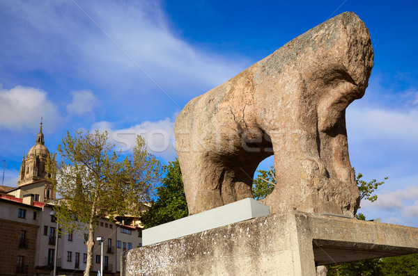 Salamanca Iberian Verraco sculpture Spain Stock photo © lunamarina