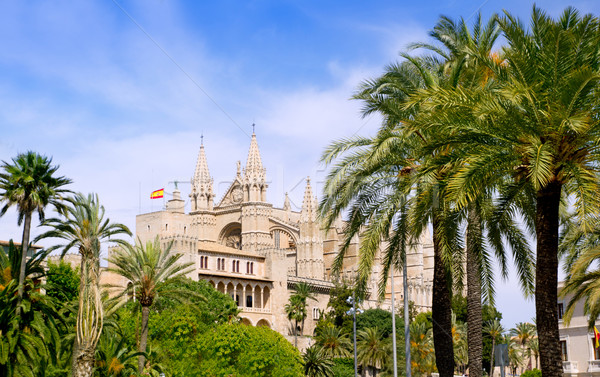 Almudaina and Cathedral of Palma de Mallorca in Majorca Stock photo © lunamarina