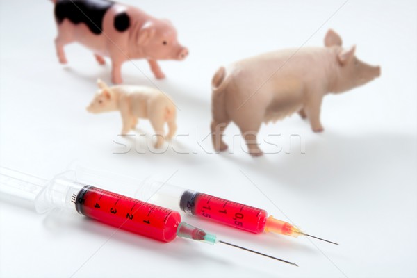 Swine flu A H1N1 vaccine metaphor Stock photo © lunamarina