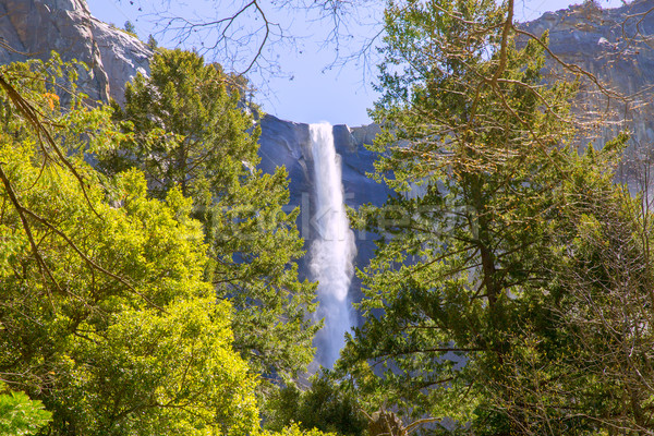 Yosemite Bridalveil fall waterfall California Stock photo © lunamarina