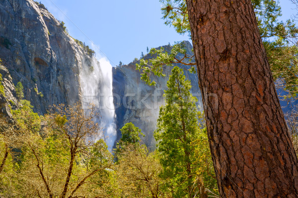 Yosemite Bridalveil fall waterfall California Stock photo © lunamarina