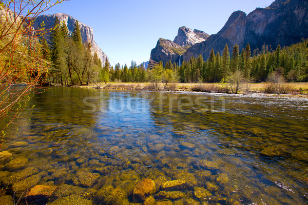 Yosemite Merced River el Capitan and Half Dome Stock photo © lunamarina
