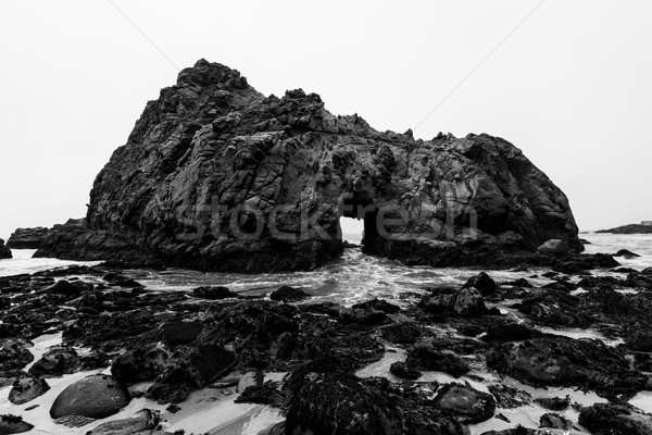 California Pfeiffer Beach in Big Sur State Park dramatic bw Stock photo © lunamarina