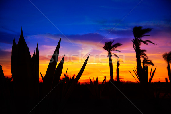 Pôr do sol praia Espanha céu água nuvens Foto stock © lunamarina