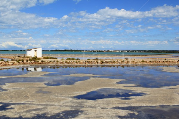 Ses Salines Formentera saltworks horizon balearic Stock photo © lunamarina