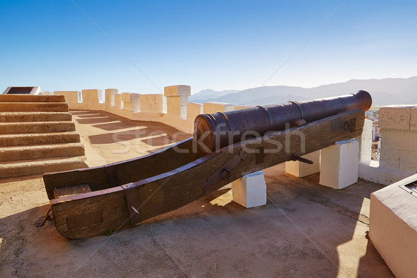 Cullera cannon in Torre de la Reina Mora tower Stock photo © lunamarina