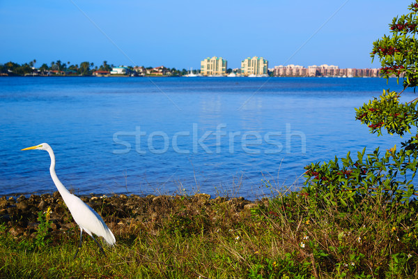 Naples Florida Marco Island view Florida US Stock photo © lunamarina