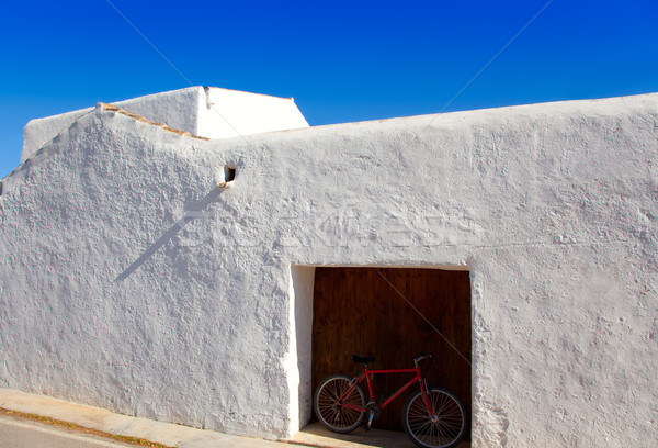 Ibiza Santa Agnes whitewashed houses Stock photo © lunamarina