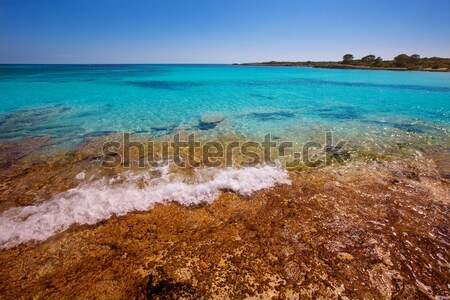 Formentera Cala Saona beach Balearic Islands Stock photo © lunamarina