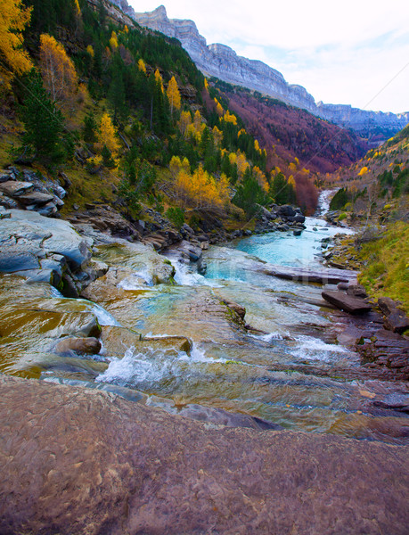 Gradas de Soaso in Arazas river Ordesa valley Pyrenees Huesca Sp Stock photo © lunamarina