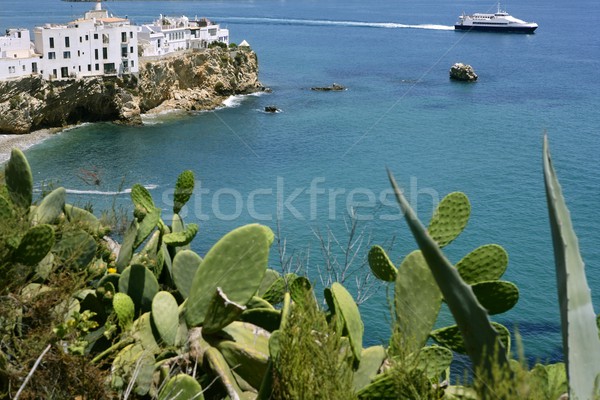 Ibiza view with nice Mediterranean sea Stock photo © lunamarina