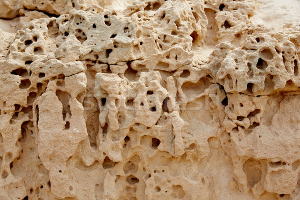 Foto d'archivio: Spiaggia · pietra · texture · panorama · mare