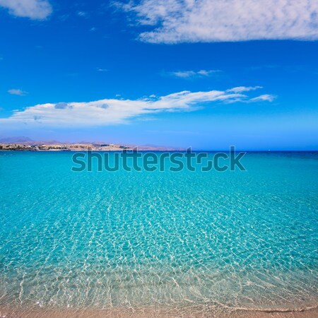 Costa Calma beach of Jandia Fuerteventura Stock photo © lunamarina