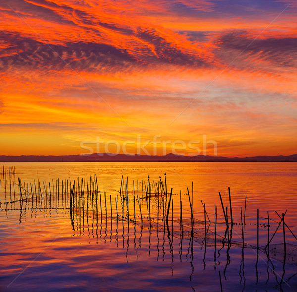 La Albufera lake sunset in El Saler of Valencia Stock photo © lunamarina