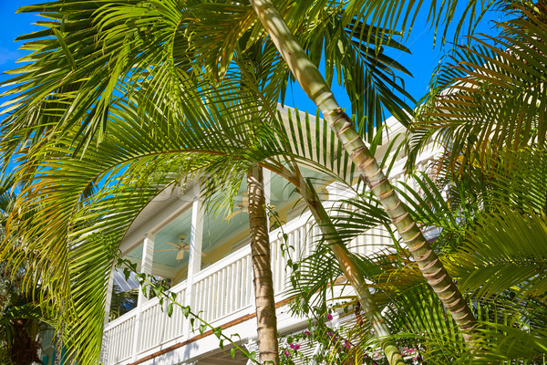 Key west downtown street houses in Florida Stock photo © lunamarina