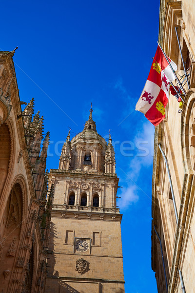 Catedrală fatada Spania la mod cer Imagine de stoc © lunamarina