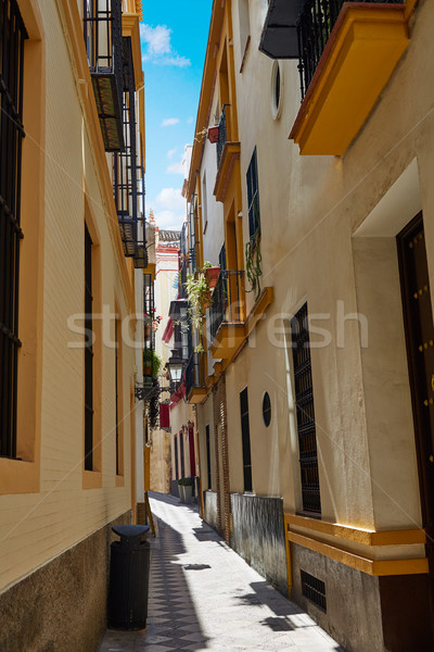 Sevilla old town near calle Agua Vida st Spain Stock photo © lunamarina