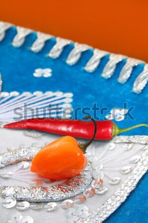 Mexican hot chili peppers red habanero serrano Stock photo © lunamarina