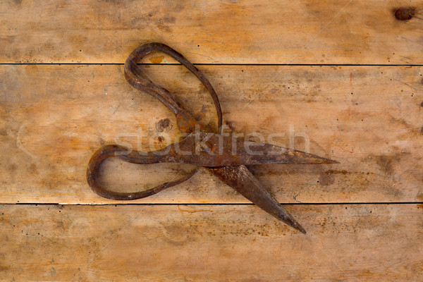 Antique sheep wool shears scissors rusted Stock photo © lunamarina