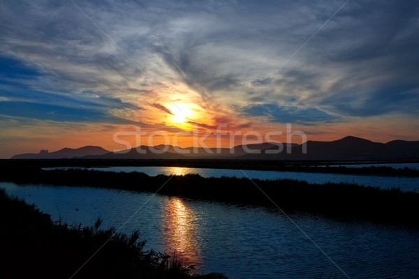 Ibiza ses Salines saltworks at sunset in Sant Josep Stock photo © lunamarina