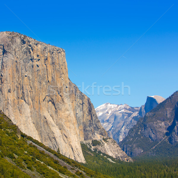 Yosemite el Capitan in California National Parks Stock photo © lunamarina