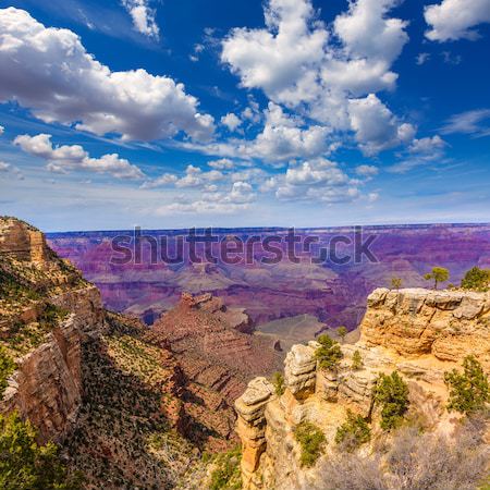 Arizona grand Canyon park punt USA natuur Stockfoto © lunamarina