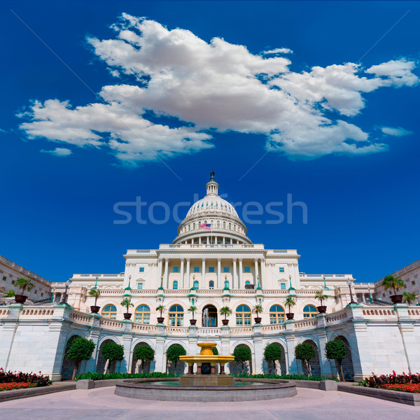 Kongres budynku Washington DC USA światło słoneczne fontanna Zdjęcia stock © lunamarina