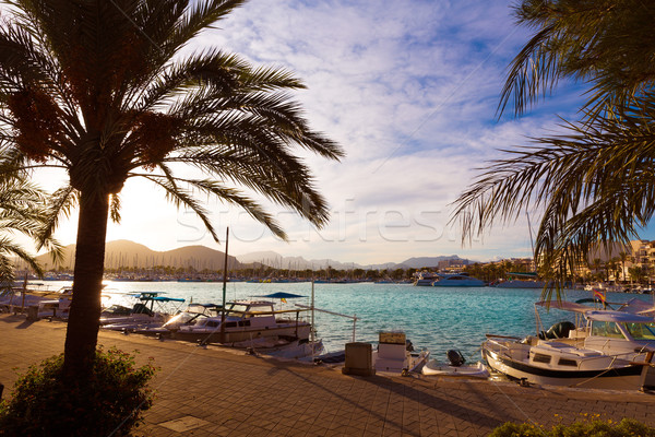 Alcudia Majorca at sunset on marina port Mallorca Stock photo © lunamarina