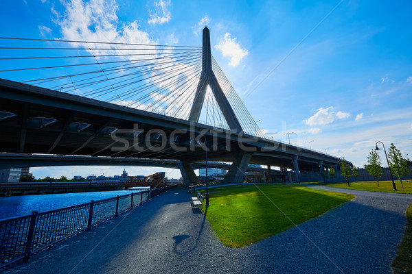 Boston Zakim bridge in Bunker Hill Massachusetts Stock photo © lunamarina