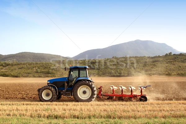 Agriculture plowing tractor on wheat cereal fields Stock photo © lunamarina