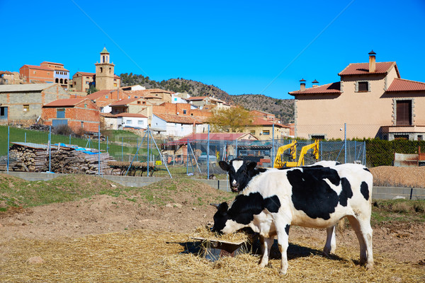 Royuela village Sierra de Albarracin Teruel Spain Stock photo © lunamarina