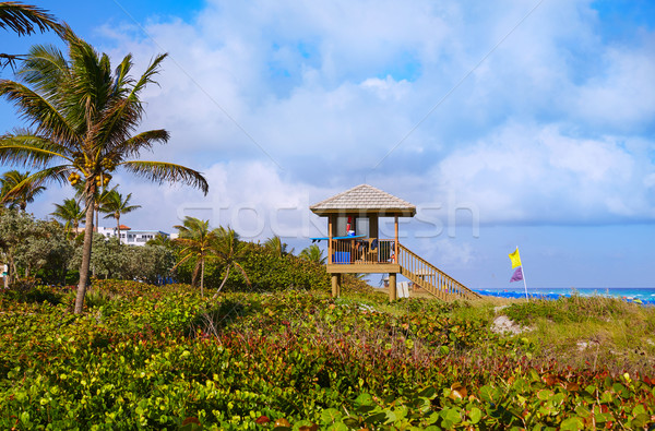 Strand Florida USA water achtergrond zomer Stockfoto © lunamarina