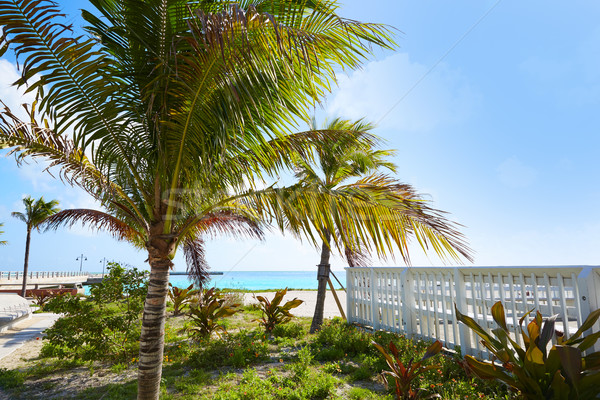 Key west florida beach Clearence S Higgs Stock photo © lunamarina