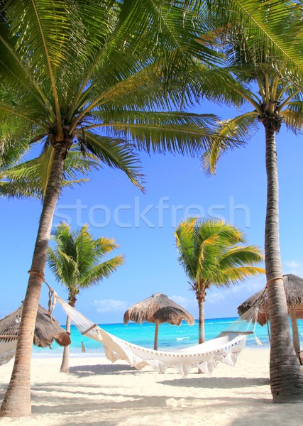 Stock photo: Caribbean beach hammock and palm trees