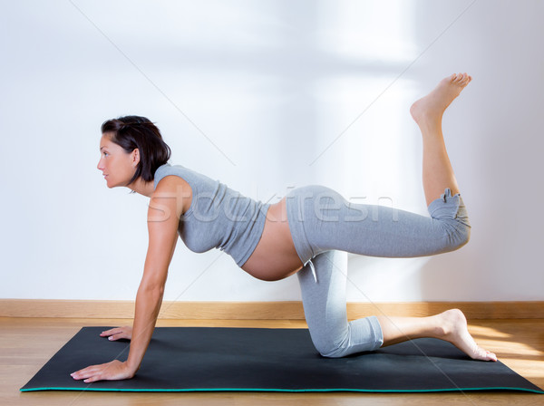 Foto stock: Belo · mulher · grávida · ginásio · fitness · exercer