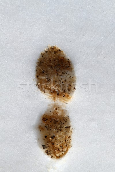 dirty mud footprint on a virgin white snow surface Stock photo © lunamarina