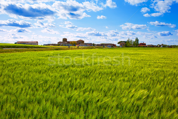 Zdjęcia stock: Sposób · święty · zbóż · pola · Hiszpania · krajobraz