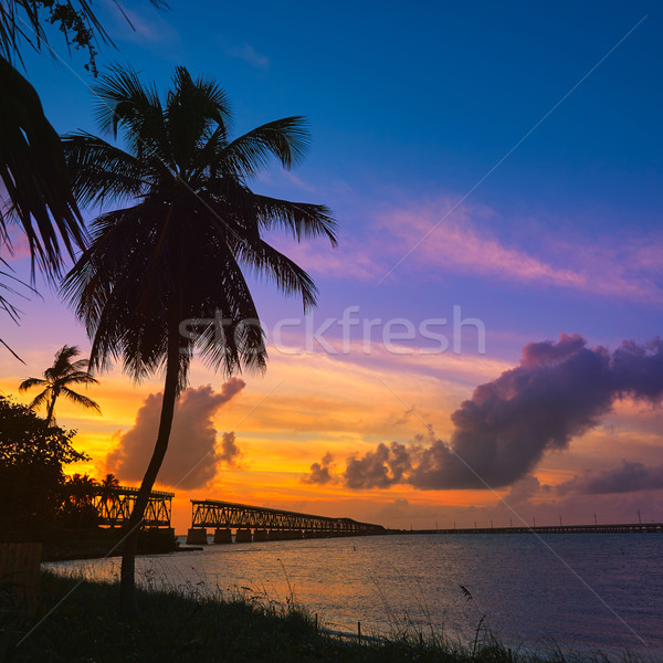 Florida Keys old bridge sunset at Bahia Honda Stock photo © lunamarina