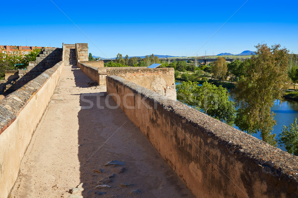 Merida Alcazaba in Spain Badajoz Extremadura Stock photo © lunamarina