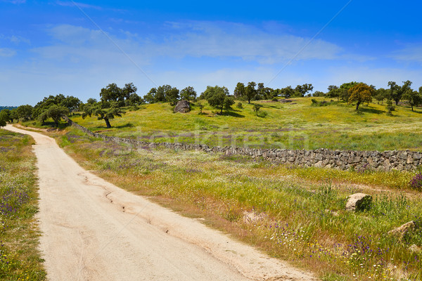 Stok fotoğraf: Yol · Santiago · İspanya · doğa · alan