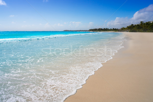 Stockfoto: Caribbean · strand · hemel · water · zomer · palm