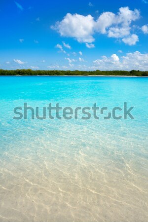 Illetes Formentera East beach tropical turquoise Stock photo © lunamarina