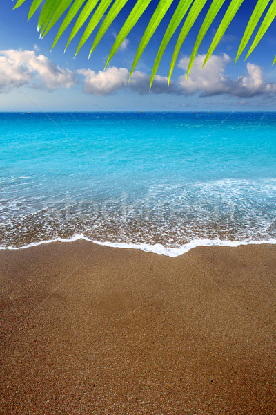 Kanári-szigetek barna homok tengerpart türkiz víz Stock fotó © lunamarina