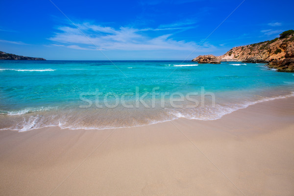 Cala Tarida in Ibiza beach at Balearic Islands Stock photo © lunamarina