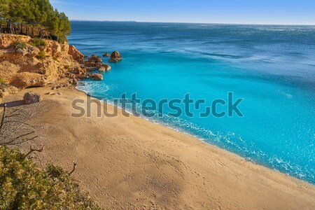 Ibiza Sa Caleta beach in south San Jose at Balearic Stock photo © lunamarina