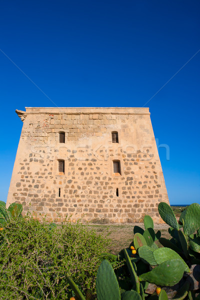 Tabarca island tower Torre de San Jose castle Alicante Stock photo © lunamarina