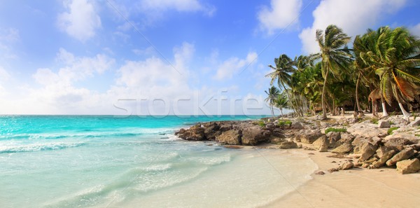 Karib Mexikó trópusi panorámakép tengerpart napos idő Stock fotó © lunamarina
