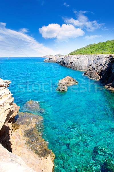 Ibiza island Canal d en Marti Pou des Lleo beach Stock photo © lunamarina