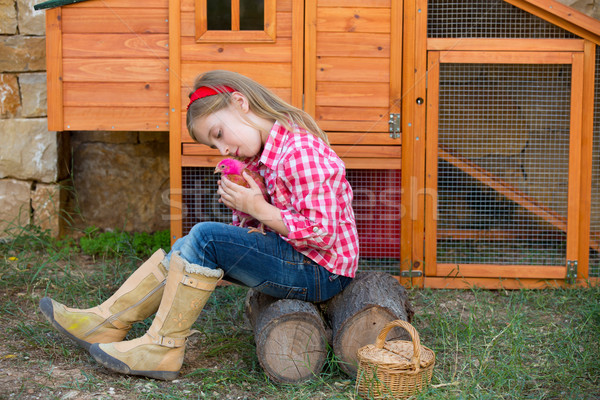 breeder hens kid girl rancher farmer with chicks in chicken coop Stock photo © lunamarina