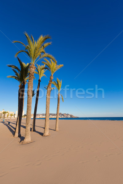 Benidorm Alicante playa de Poniente beach in Spain Stock photo © lunamarina